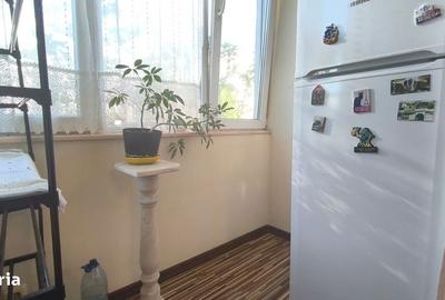 Garsonieră în Dacia - 8