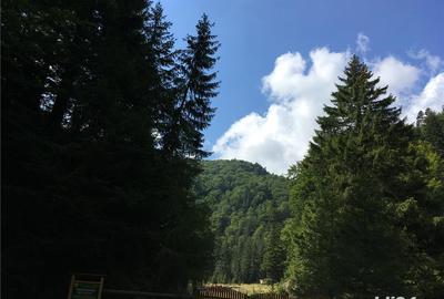 Teren de 3825 mp, în Vama Buzăului - 2