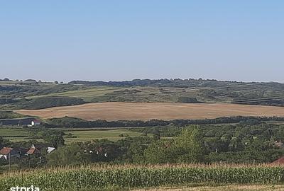 Teren de 1153 mp, în Paleu - 2