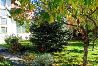 Casă cu 5 camere cu Teren 698 Mp în Albert - 12