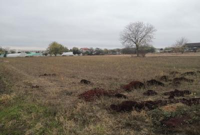 Teren Construcții intravilan de 1500 mp, în Sud - 3