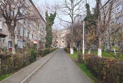 Ap 3 cam tip T de vanzare str Razboieni - 2