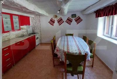 Casa individuala cu 3 camere, 217 mp utili,1600 mp teren,Intregalde - 4