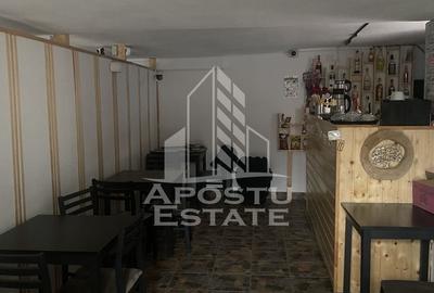 Casa unifamiliala în Timișoara,cu spațiul comercial - 18