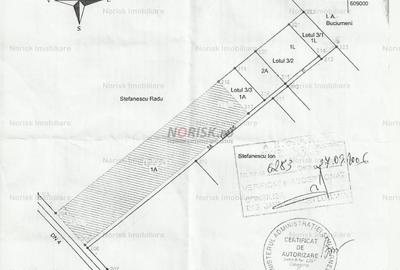 Teren agricol extravilan de 10000 mp, în Frumușani - 5