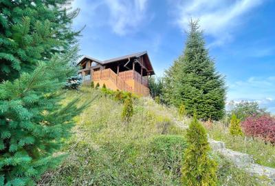 Complex de 3 case pe 18000 mp teren - 55