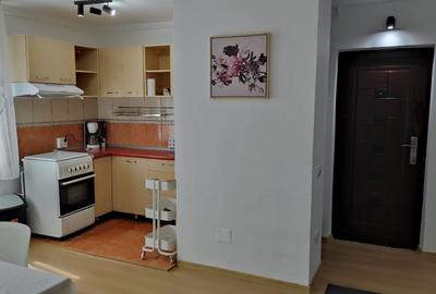 Apartament cu 2 camere semidecomandat, mobilat în Berceni - 5