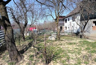 Casă cu 2 camere cu Teren 4500 Mp în Central - 7