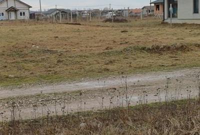 Teren de 800 mp, în Oșorhei - 3