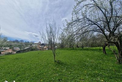 Teren de 3500 mp, în Ghioșești - 11