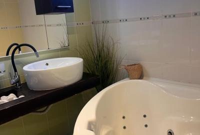 Apartament cu 2 camere decomandat, mobilat în Zorilor - 10