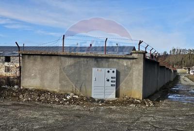 Teren intravilan de 1729 mp, în Teliu - 1