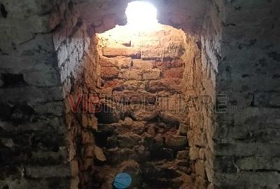 Spațiu comercial, de 1,000 mp, în Conop - 9