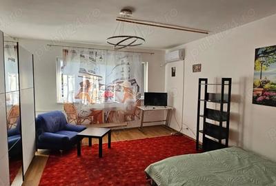 Garsoniera Dr. Taberei ANL Brancusi Dr. Doftanei - 5