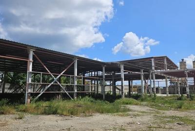 Spațiu industrial, de 3,700 mp, în Central - 17