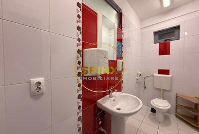 Cladire multifunctionala – sediu business , 1160 mp garaj 11 masini, Cotroceni - 24