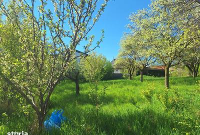 Teren de 1388 mp, în Ultracentral - 5