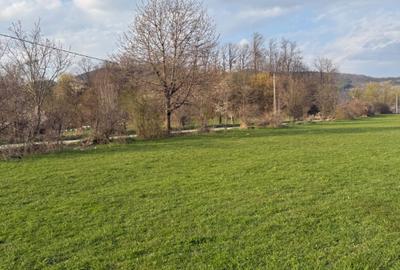 Spațiu comercial, în Alexandru cel Bun - 3