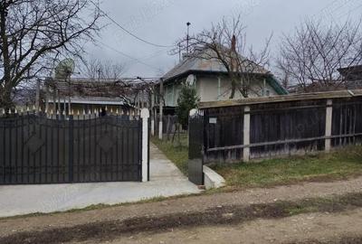 Casă cu Teren 1363 Mp în Siliștea - 4