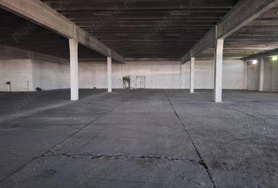 Hala de inchiriat - 3