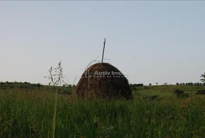 Casă cu 3 camere cu Teren 609 Mp în Uileacu de Beiuș - 4