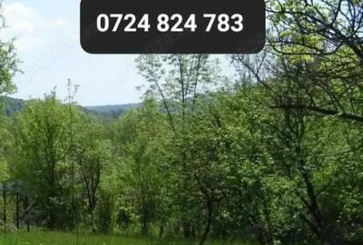 Teren de 1500 mp, în Vărbila - 1