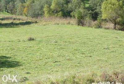Teren de 3142 mp, în Vulcana-Băi - 1