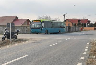 Teren intravilan la asfalt si statie autobuz Ilfov Cernica Posta - 7