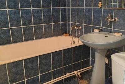 Casa / Vila si teren in Curtisoara, ideala pentru pensiune /casa de vacanta - 19