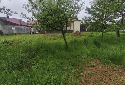 Casa + teren 1767 mp, zona Horea, Radauti - 7