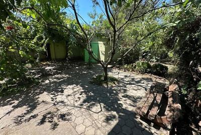 Casa cu teren 1394 mp zona Mehala - 3