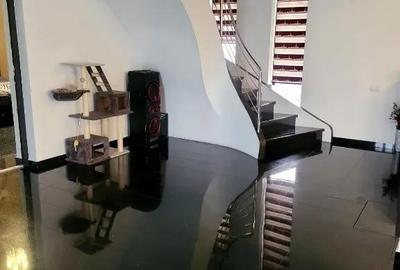 Casă cu 4 camere cu Teren 425 Mp în Ostroveni - 2