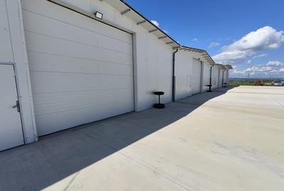 Hala noua depozitare/productie/logistica, zona Prejmer, 1200mp - 3