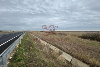 Teren 5.000 mp centura Calea Sagului- Freidorf. Comision 0 - 2