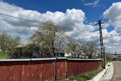 48 ari teren , cu casa batraneasca, Antoceni, Forasti, Sucea - 2