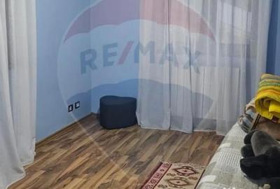 Casă cu 7 camere cu Teren 3141 Mp în Ploștina - 11