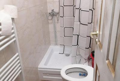 Ap. 1cam.de inchiriat, str. Horea. - 3