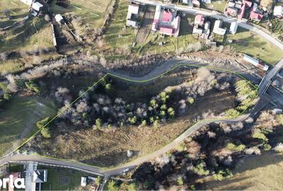 Teren de 14927 mp, în Vatra Moldoviței - 6