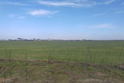 Teren Construcții intravilan de 8650 mp, în Cernica - 3