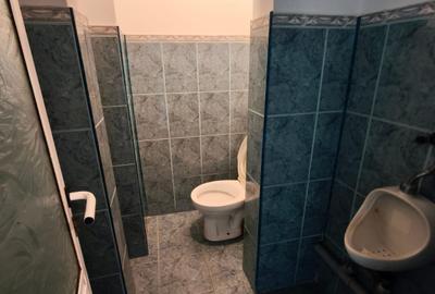 Spațiu comercial, de 261 mp, în Km 4-5 - 15