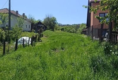 Teren de 1000 mp, în Păușești - 3