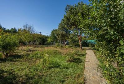 CASA MEMORABILA CU MULT POTENTIAL, LUMINA SI VERDEATA -SI TEREN DE 1618 MP - 15