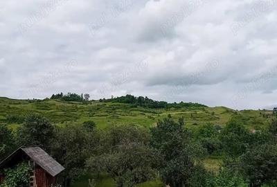 Casă cu 5 camere cu Teren 800 Mp în Bogdan Vodă - 3