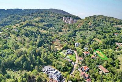 Teren intravilan Brasovul Vechi - 11