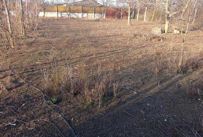 Teren de 1000 mp, în Brănești - 2