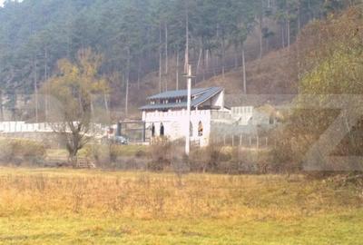 Casa individuala la rosu, 247 mp, teren 5000 mp in Surduc - 3