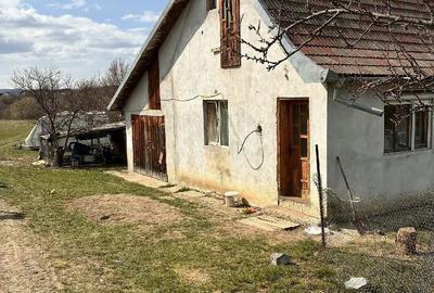 Teren de 708 mp, în Central - 9
