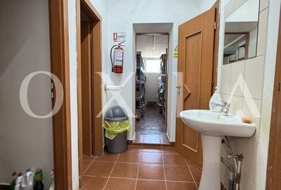 LX290 Hala Industriala Cu Teren Generos,  Bucovat LX290 Hala Industriala Cu Teren Generos,  Bucovat - 5