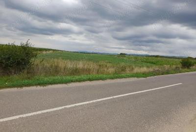 Teren de 4100 mp, în Pricaz - 5