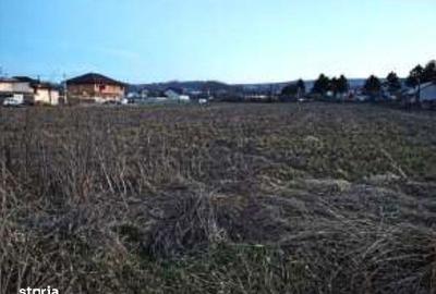 Teren de 1000 mp, în Tomești - 8